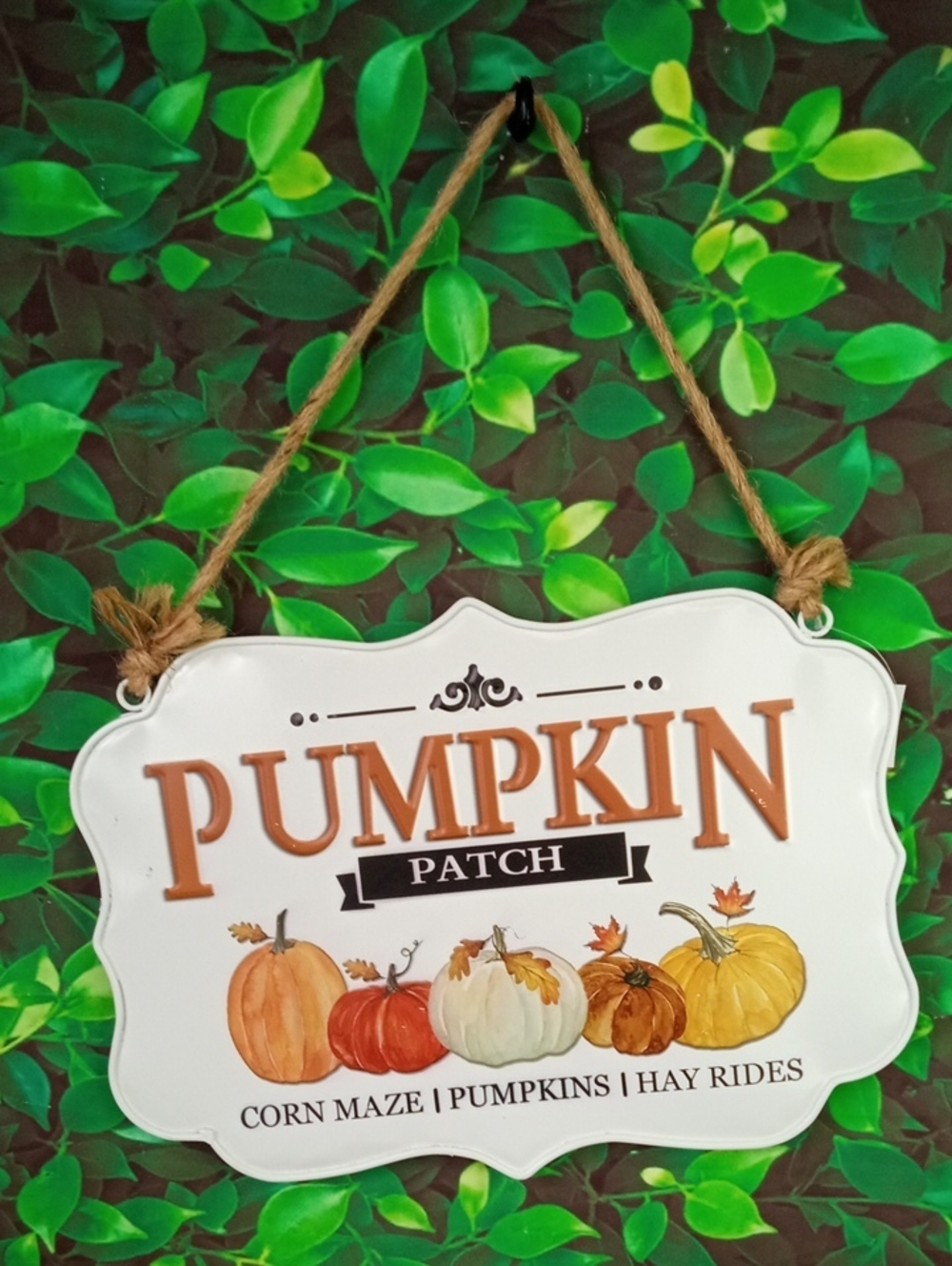🍂 Young's Pumpkin Patch Hanging Sign